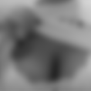 rencontre-Cougar-Lille