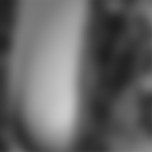 rencontre-Cougar-Reims