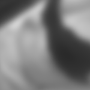 rencontre-Cougar-Rennes