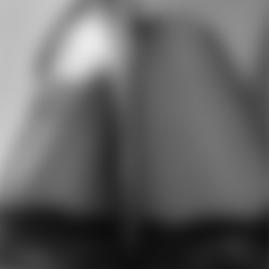 rencontre-Cougar-Saint-Étienne