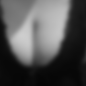 rencontre-Cougar-Toulon