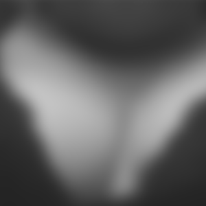 rencontre-Cougar-Toulon