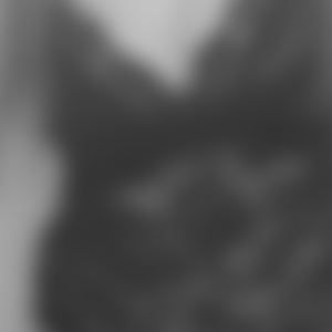 rencontre-Strasbourg